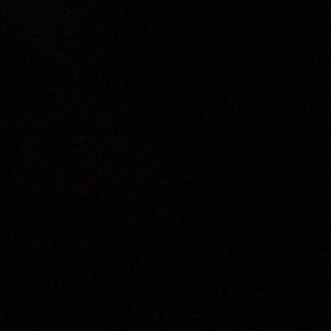 Meet your Posher, Princess